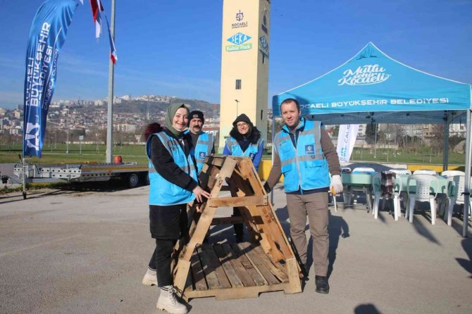 Sokak Hayvanları İçin Atık Paletlerden Kulübe Yapıyorlar