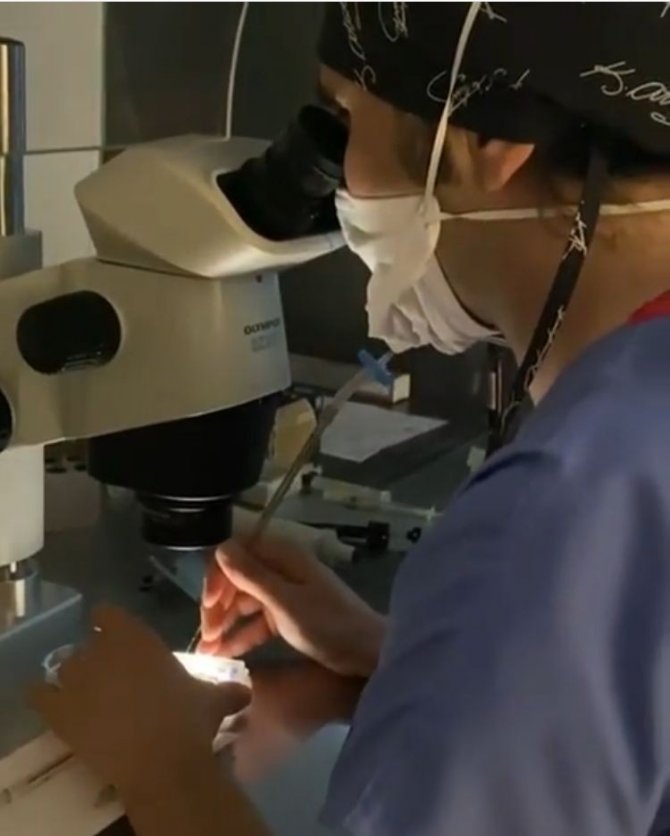 Çevre Kirliliği Ve Şekerli İçeceklerin Üremeyi De Olumsuz Etkilediği Belirlendi