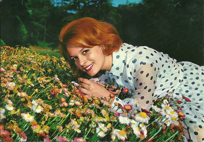 Hülya Koçyiğit’ten Damadına Övgü: “Engin Altan Düzyatan Dört Dörtlük Bir Oyuncu”