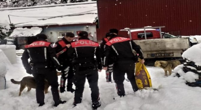 Emniyet Ekipleri Sokak Hayvanlarını Unutmadı