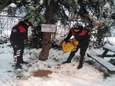 Emniyet Ekipleri Sokak Hayvanlarını Unutmadı