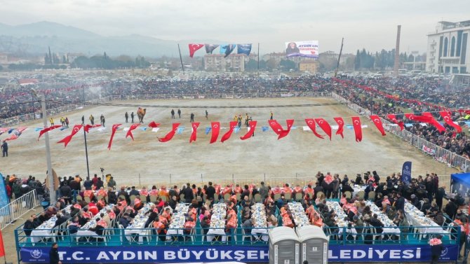 Aydın’da 184 Deve Kıran Kırana Güreşti
