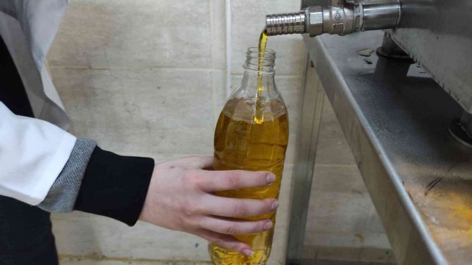 Lisede Öğrenciler Keçi Sağıp, Tavuk Bakıyor