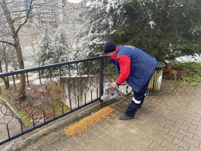 Sokak Hayvanlarını Elleriyle Beslediler