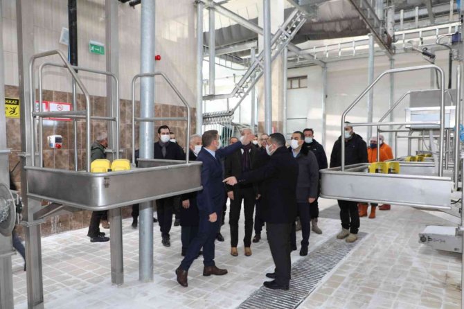 Kars’ta Modern Besi Çiftliği Ve Kesimhane Tamamlanıyor