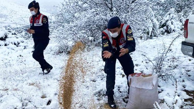 Bozkırın Yaban Hayatı Korunuyor