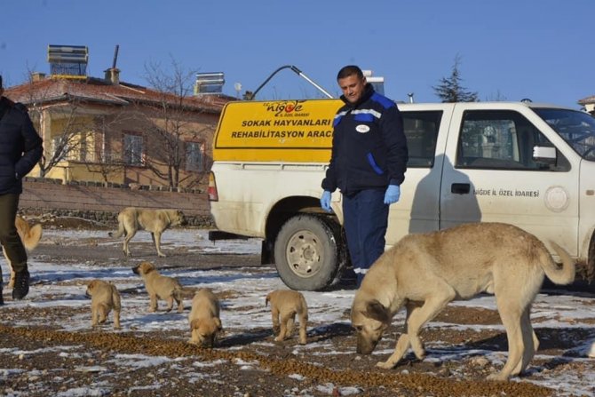 Niğde Sokak Hayvanlarına Mama Dağıtıldı