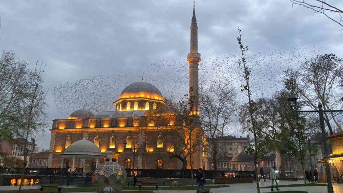 Tarihi Cami Üzerinde Sığırcıkların Görsel Şöleni