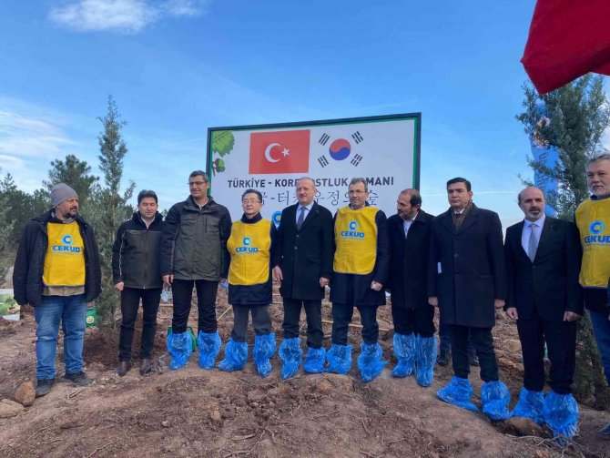 Orman Yangınında Güney Koreli Vatandaşların Bağışladığı Fidanlar, Pendik’te Hayat Buldu