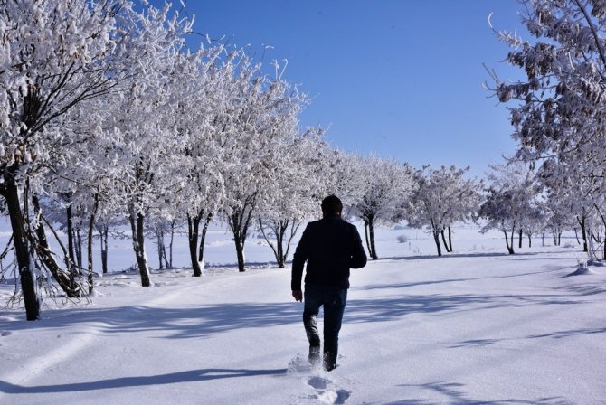 Bitlis’te Dondurucu Soğuk