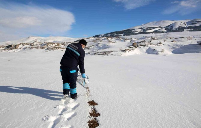 Büyükşehir’in Ekipleri Yaban Hayatını Korumak İçin Doğaya Yem Bırakıyor
