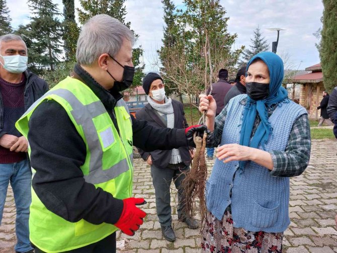 Altınordu’da 100 Bin Fidan Toprakla Buluşturuluyor