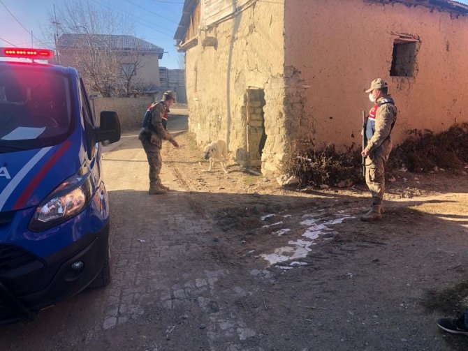 Jandarmadan Sokak Hayvanlarına Mama Ve Su Desteği