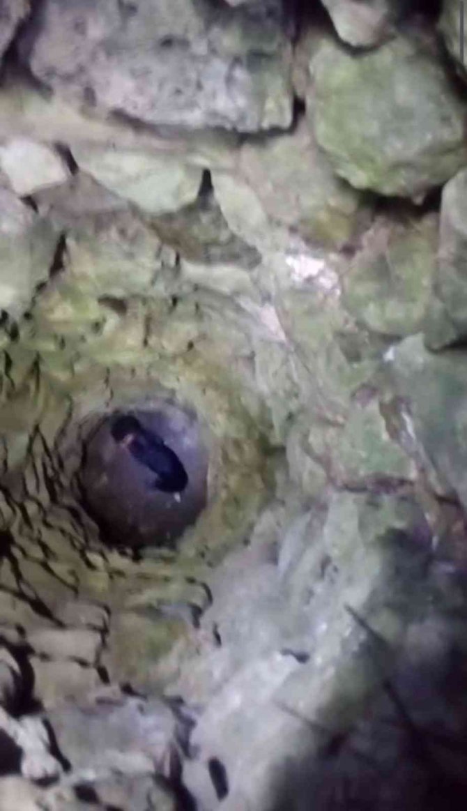 Kaybolan Av Köpeği İki Günlük Arama Sonunda Bulundu
