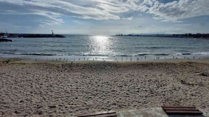 Marmara Denizi Ulaşımına Lodos Engeli