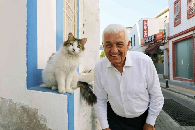 Muğla Büyükşehir Barınağında 26 Bin 529 Hayvan Tedavi Edildi