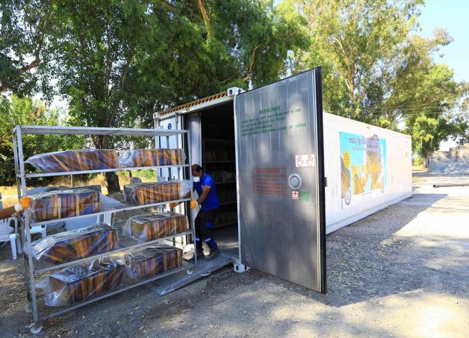 ‘Temiz Petek Projesi’ Arıcıların Yüzünü Güldürdü