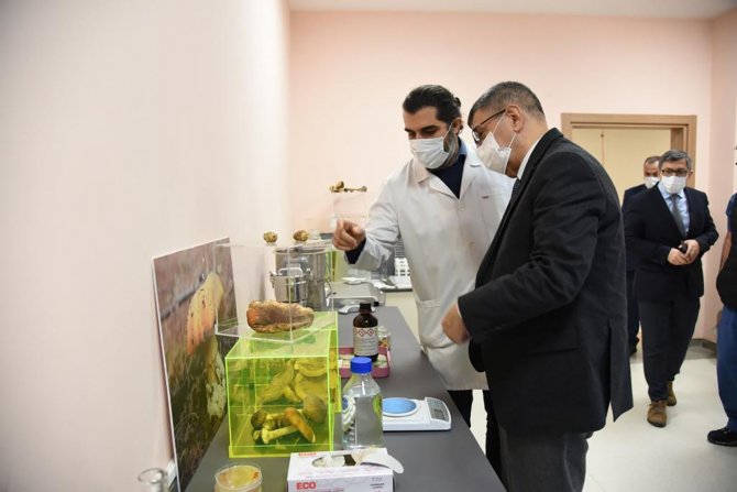 Paü Rektörü Kutluhan, Düzce Üniversitesi’nde Temaslarda Bulundu