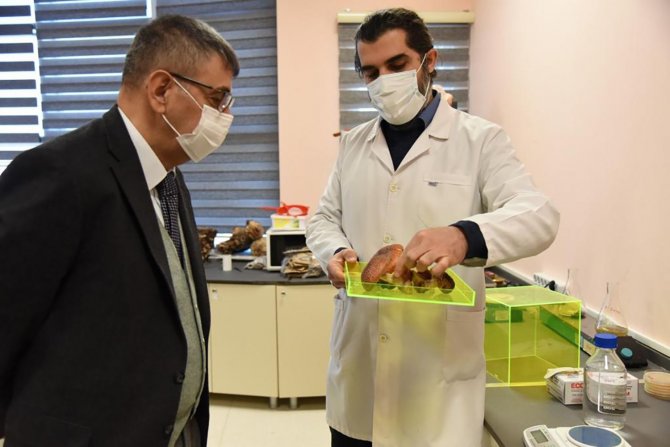 Paü Rektörü Kutluhan, Düzce Üniversitesi’nde Temaslarda Bulundu