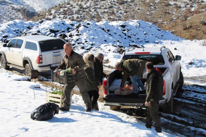 Şırnak’ta Yaban Hayvanları İçin Yem Bırakıldı