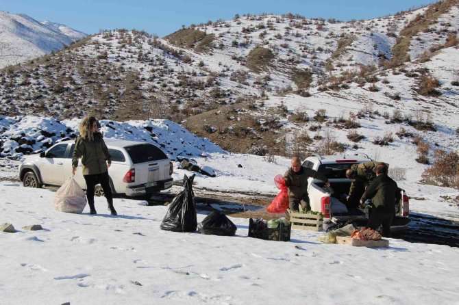 Şırnak’ta Yaban Hayvanları İçin Yem Bırakıldı