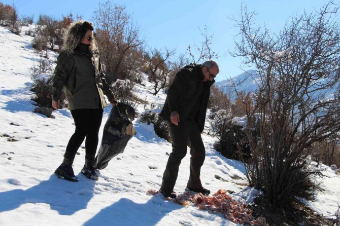 Şırnak’ta Yaban Hayvanları İçin Yem Bırakıldı