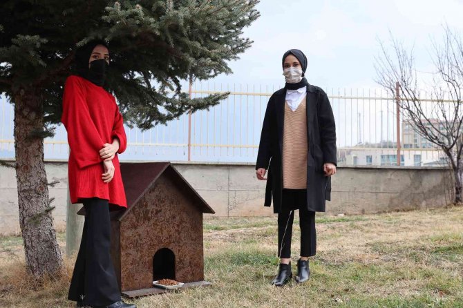 Üniversite Öğrencisi İstedi, Onların Da Bir Yuvası Oldu