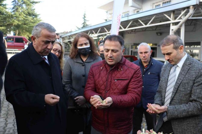 Terme’de Fındık Dal Öğütme Makinesi Teslimi