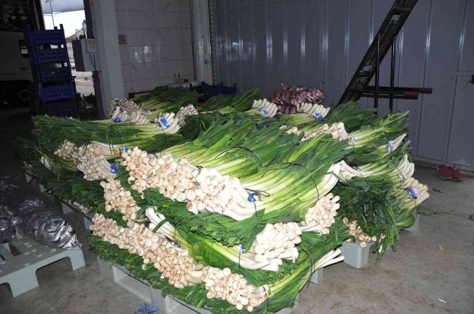 Üretici Kışlık Sebze Fiyatlarından Memnun Değil