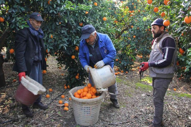 Üreticiler İndirim Bekliyor