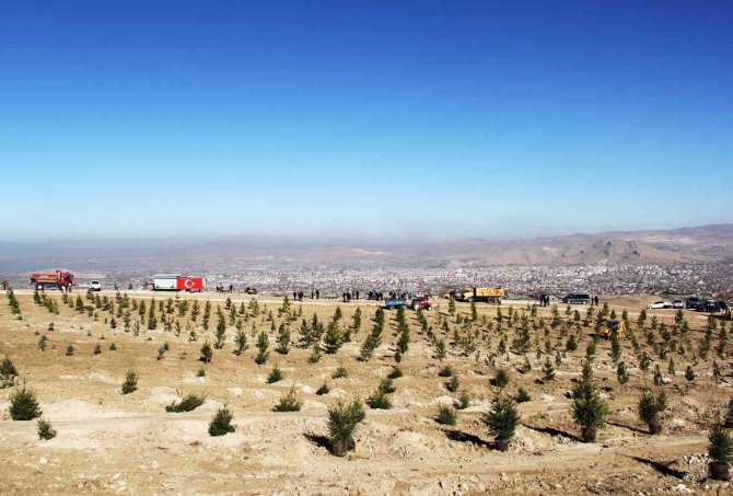 Van Büyükşehir Belediyesi 2021 Yılında Yeşil Bir Kent İçin Çalıştı