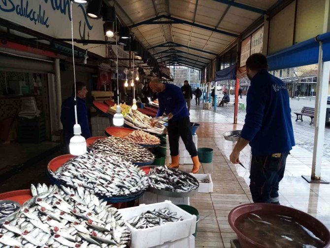 Lodos Esti, Balık Tezgâhları Şenlendi