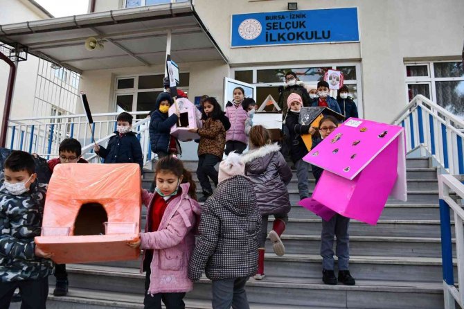 Öğrencilerden Kedilere Sıcak Yuva