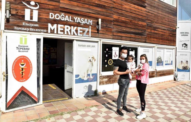 Binlerce Hayvan Tedavi Edildi, Yüzlercesi Sahiplendirildi