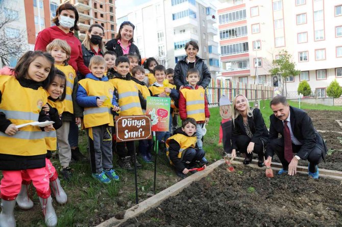 Minikler Kışlık Sebzelerini Dikti