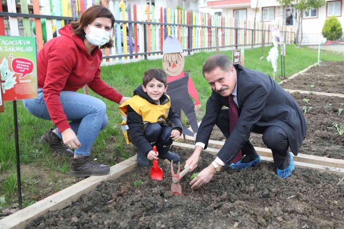 Minikler Kışlık Sebzelerini Dikti