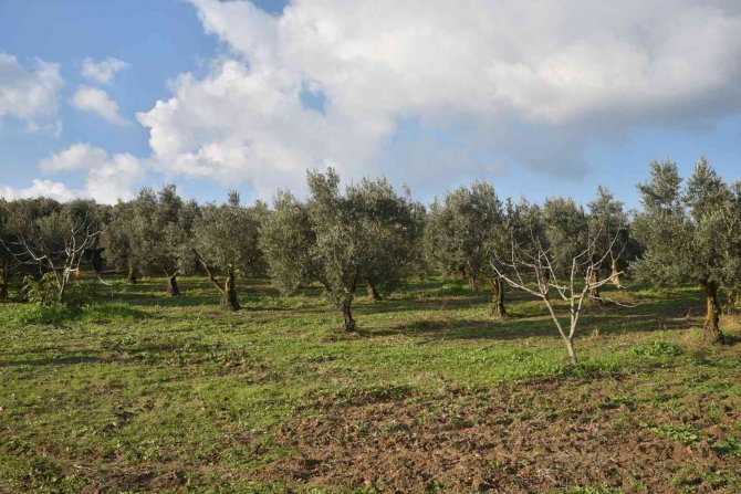 Tarımda Riskler Büyükşehir’le Kalkıyor