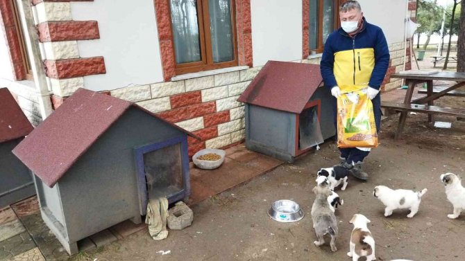 Fatsa Belediyesi Can Dostların Yanında