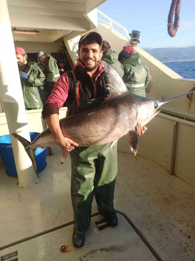 Hamsi Ağına Bir Buçuk Metrelik Kılıç Balığı Takıldı
