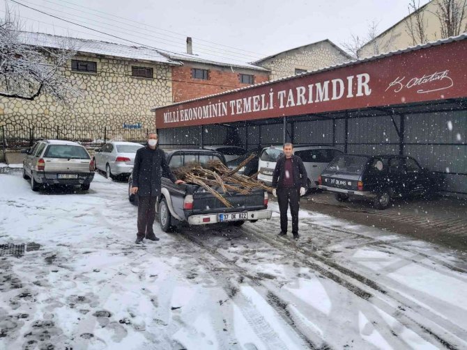 Kastamonu’da Selzede Çiftçilere Fidan Desteği