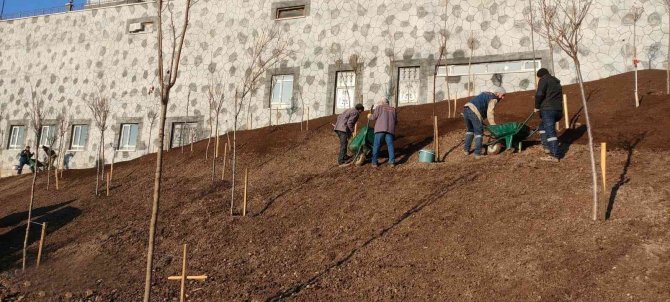 Keçiören’de Ağaçlandırma Seferberliği