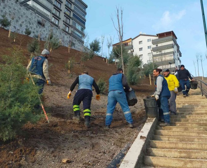 Keçiören’de Ağaçlandırma Seferberliği