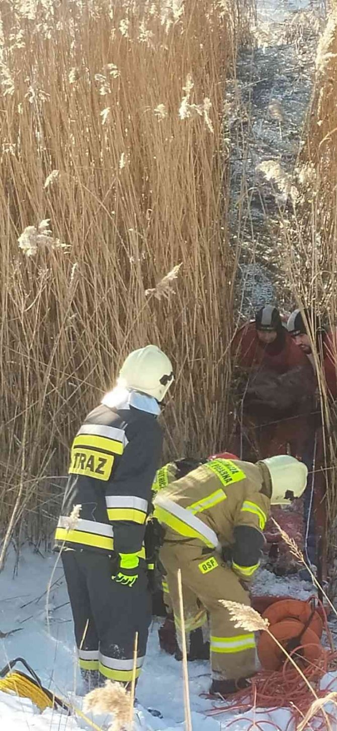 Polonya’da Buz Tutmuş Nehre Saplanan Karacayı İtfaiye Kurtardı
