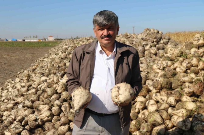 Pancar Üreticisinin Fiyat Bekleyişi Sürüyor