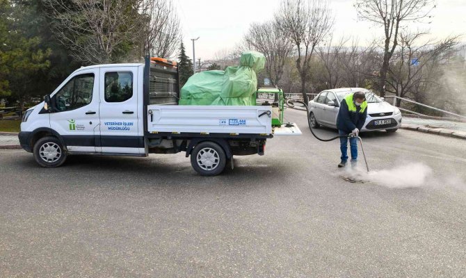 Rögar Kapaklarında İlaçlama Çalışmaları Hız Kesmiyor