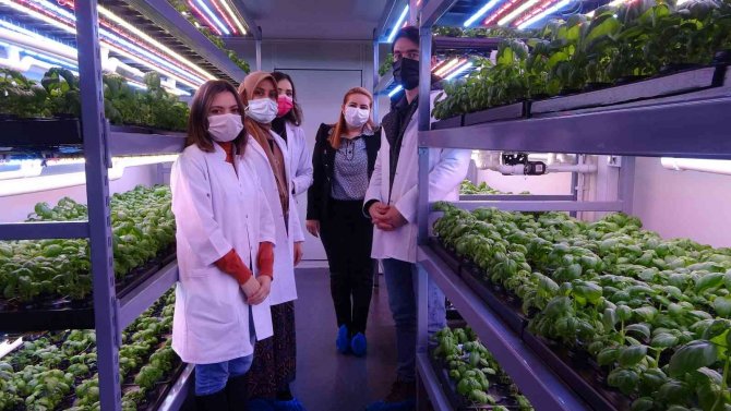 Konteynerde Tarım Dönemi