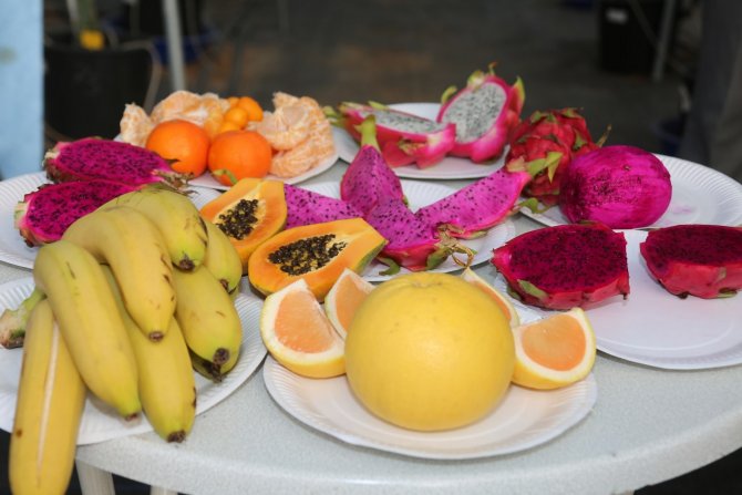 Prof. Dr. Hamide Gübbük: “Pitayanın Su Tüketimi Az, Verimi Fazla”