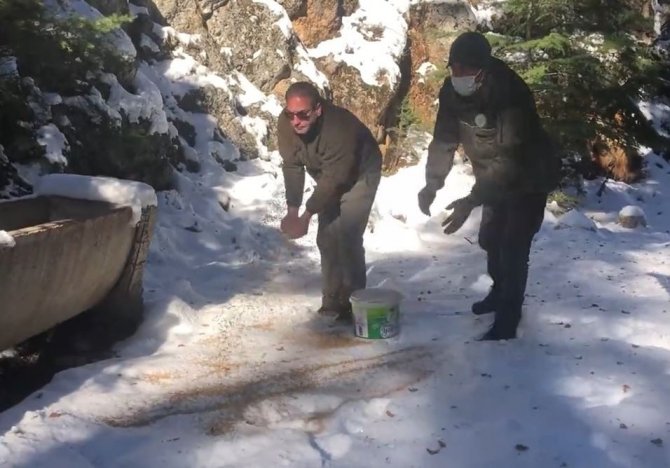Yaban Hayvanlarının Yaşam Alanlarına Yem Bırakıldı