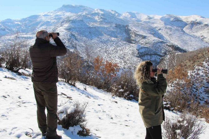 Şırnak’ta Drone Ve Fotokapanların Gözü Kaçak Avcıların Üstünde