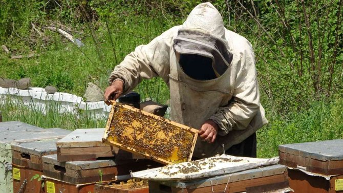 Çiftçi: “Bu Sezon Arıcılarımız İçin Çok Sıkıntılı Geçti”